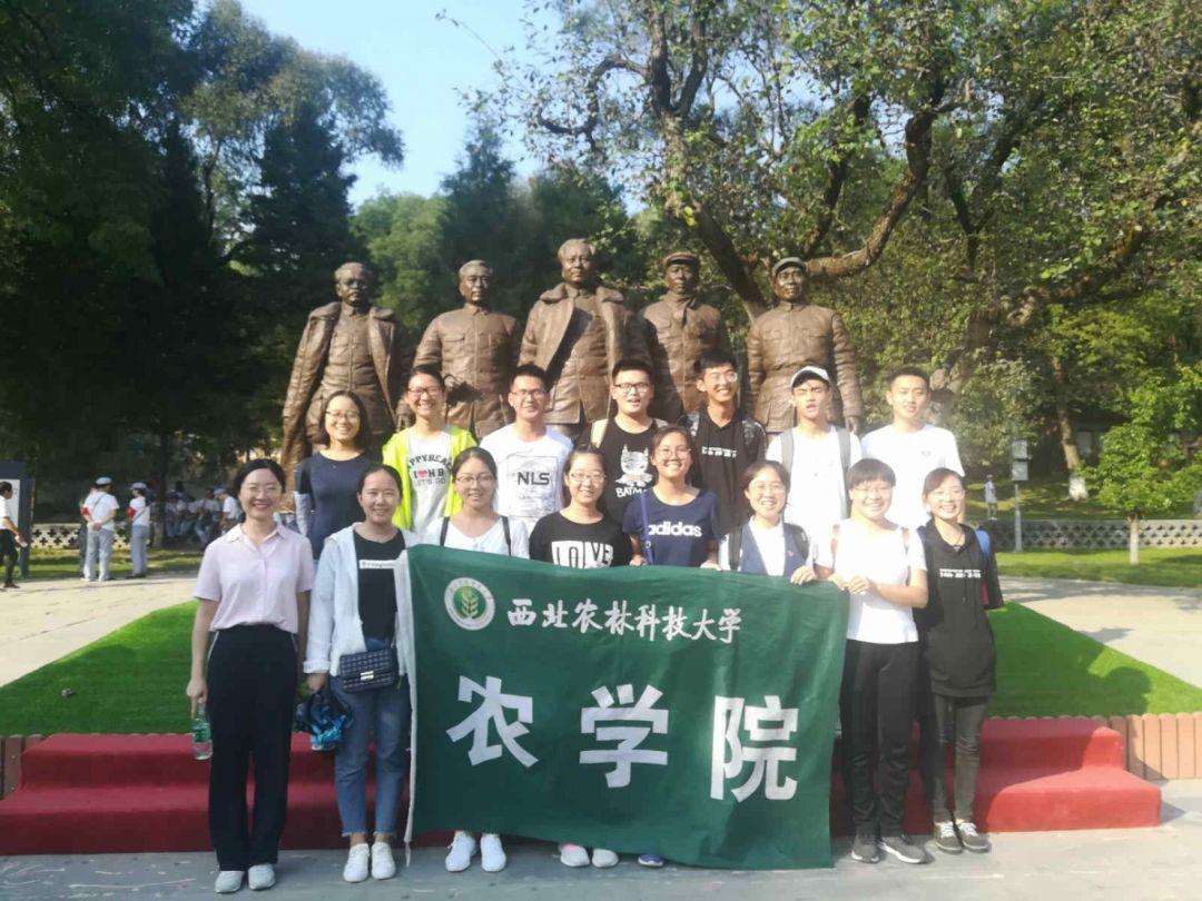 《cf》沙漠玫瑰返场时间介绍