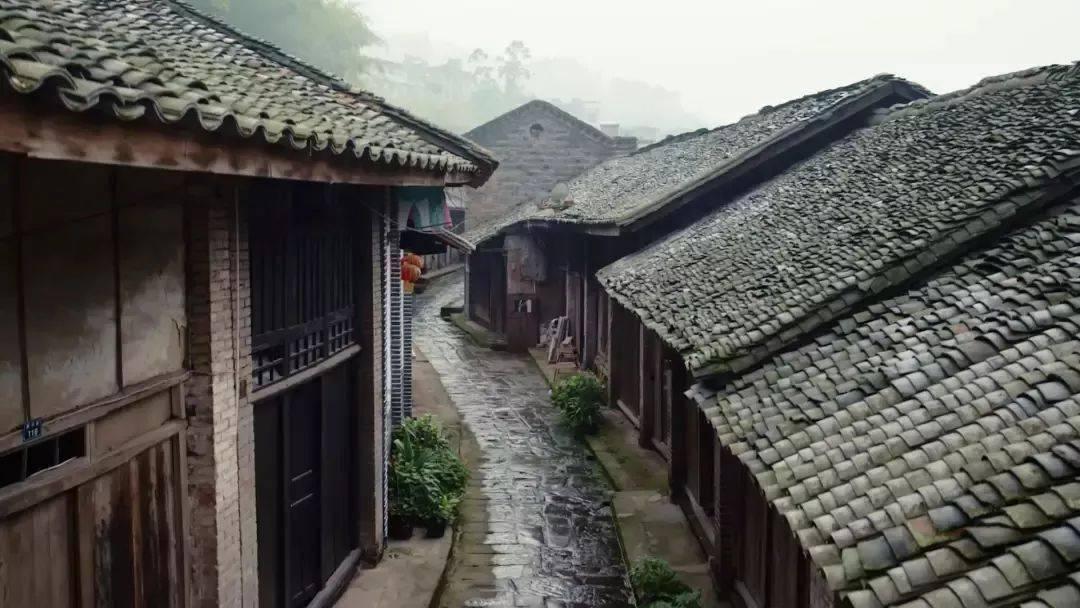 植物大战僵尸4